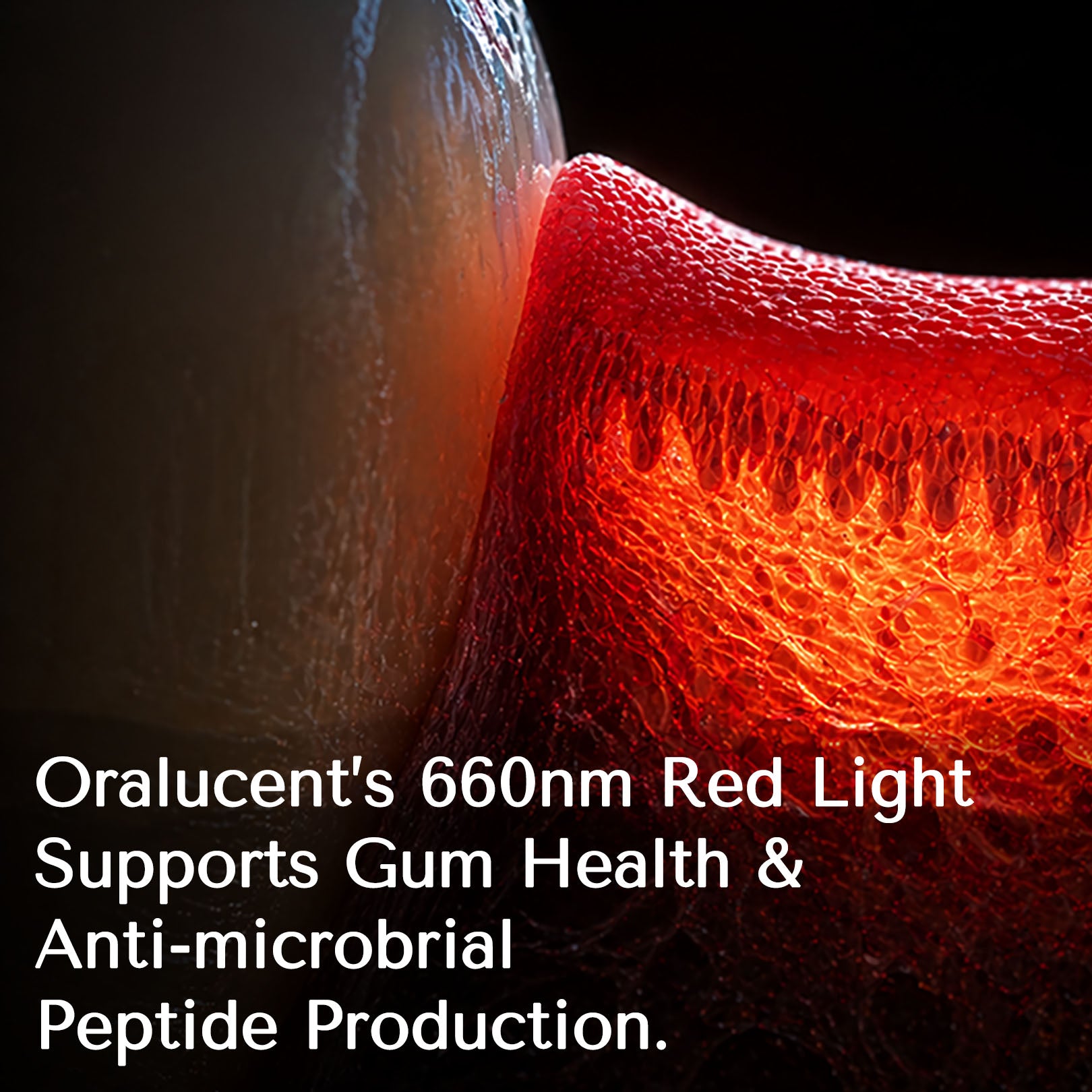Red & Blue Light Therapy Sonic Toothbrush for Gum Health & Teeth Whitening - Oralucent Pro Edition